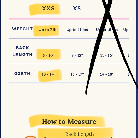 Little Beast Peanuts Snoopy Blue Dog Sweater - Picture 3 of 5